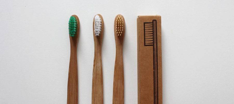 Brosse_à_dents_en_bambou_:_la_solution_écologique