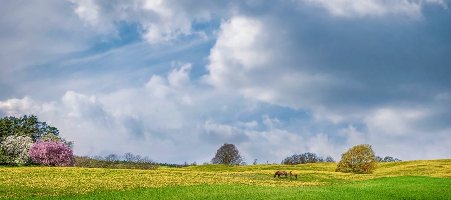 Les_étapes_clés_pour_vendre_un_terrain_non_viabilisé_:_un_guide_complet