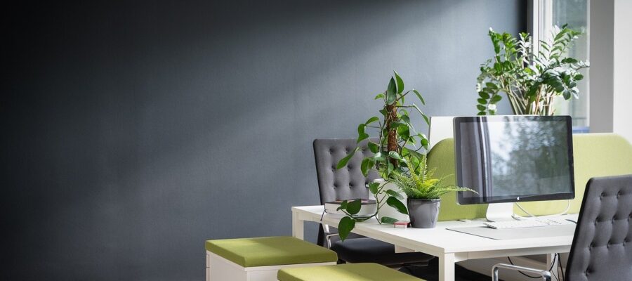 Quand_l_aménagement_de_bureau_fusionne_avec_l_art_de_diriger_une_entreprise